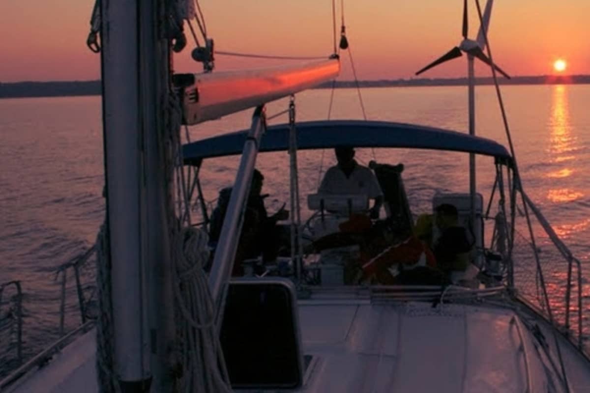Gallery: image #5