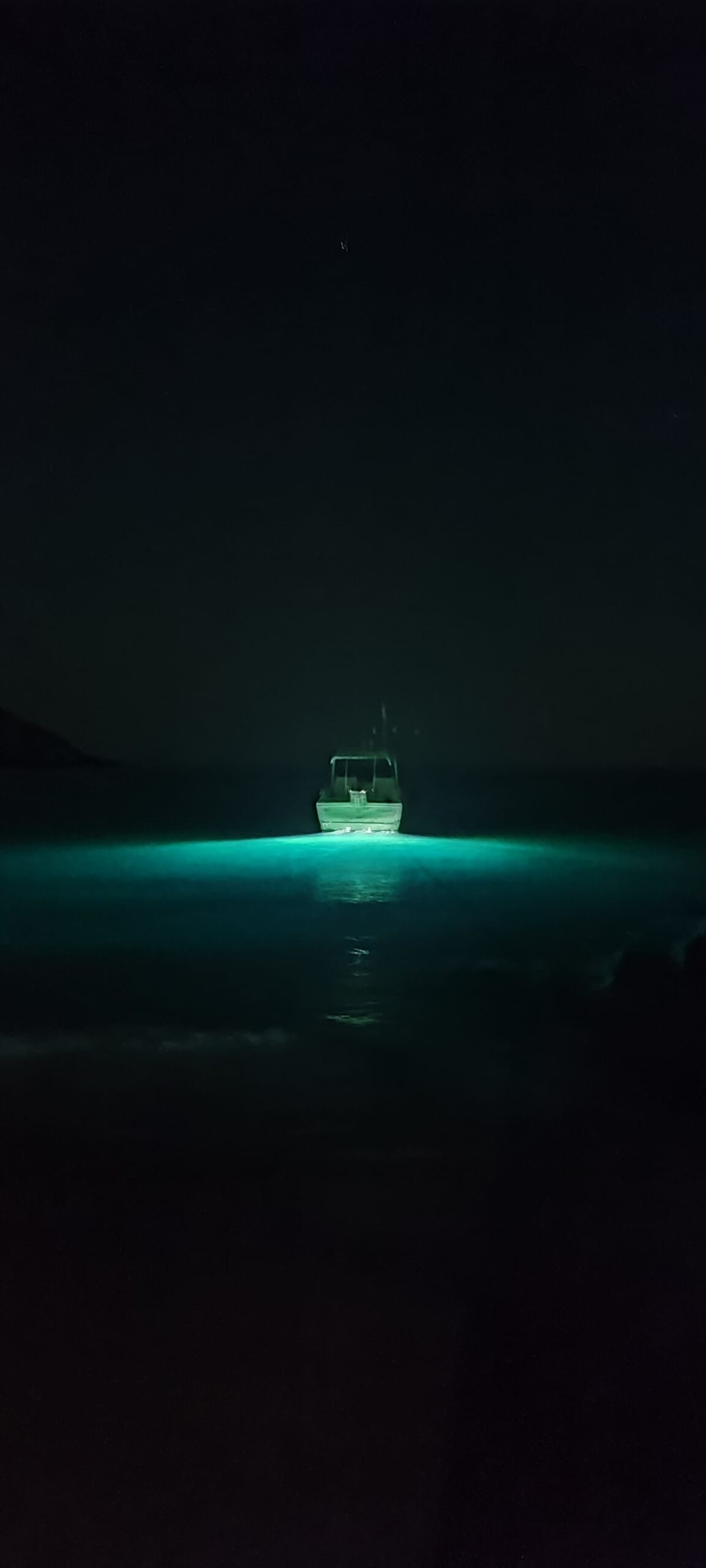 Gallery: image #6