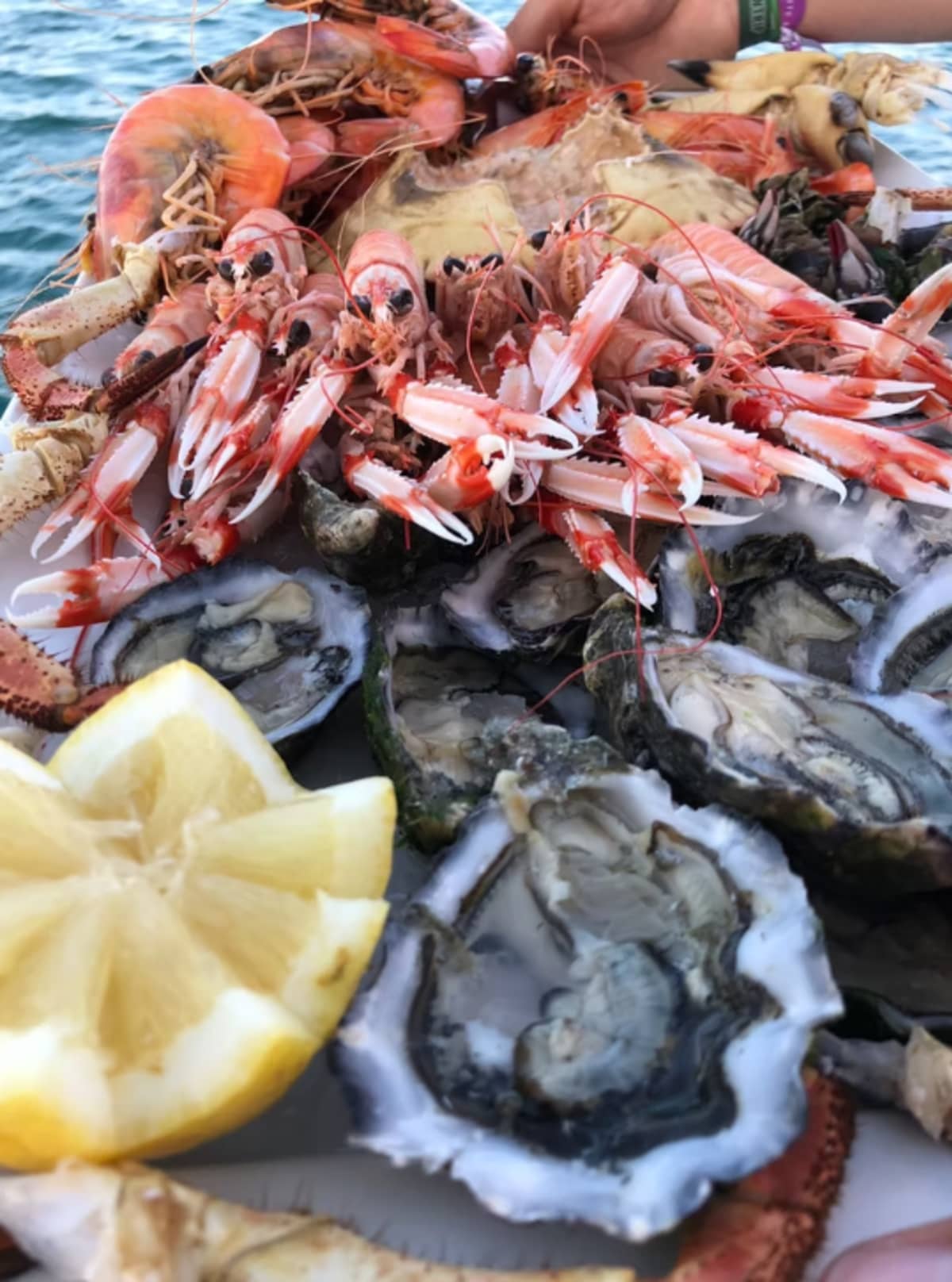 Escapada Gourmet: Natureza, Ostras e Vinho