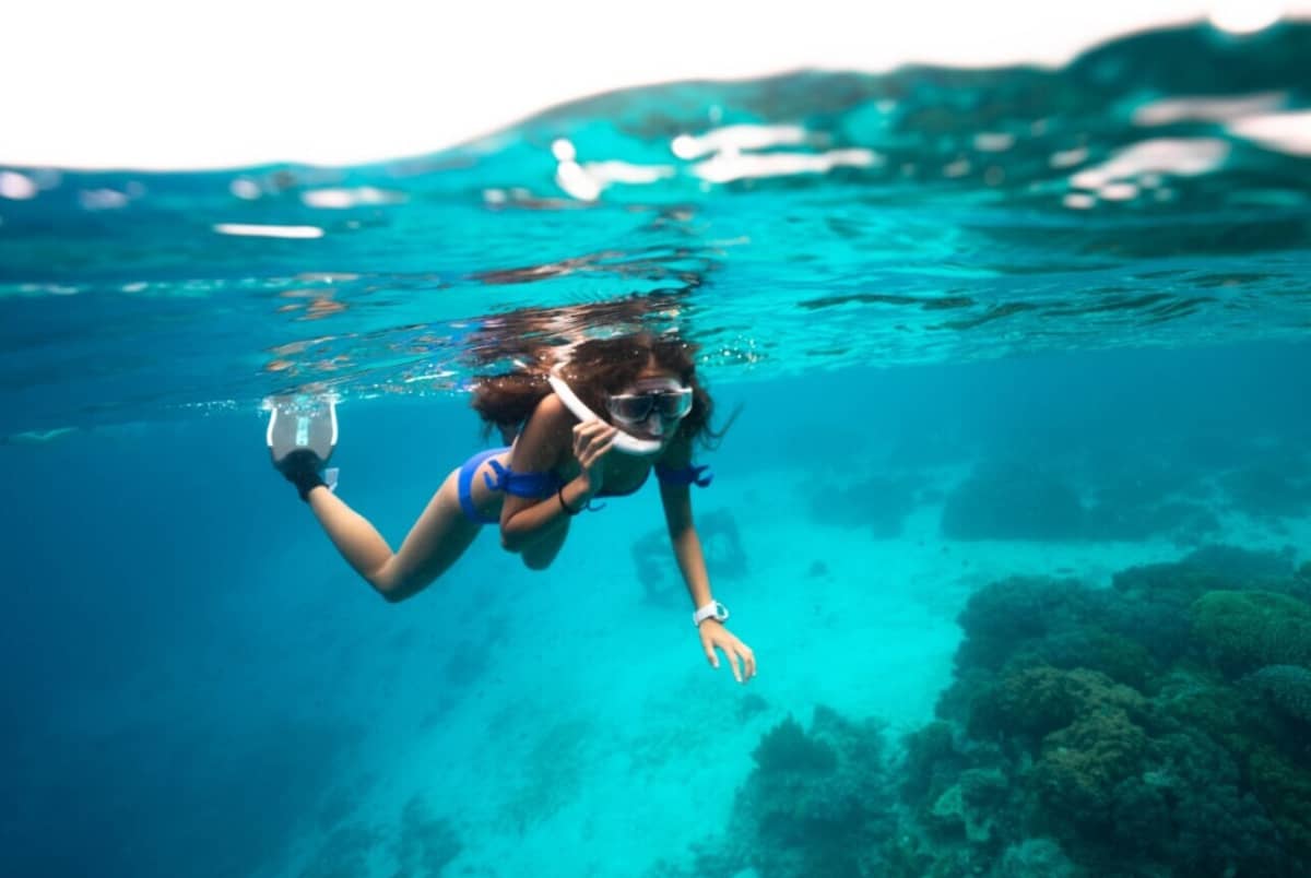 Cover of activity #24601