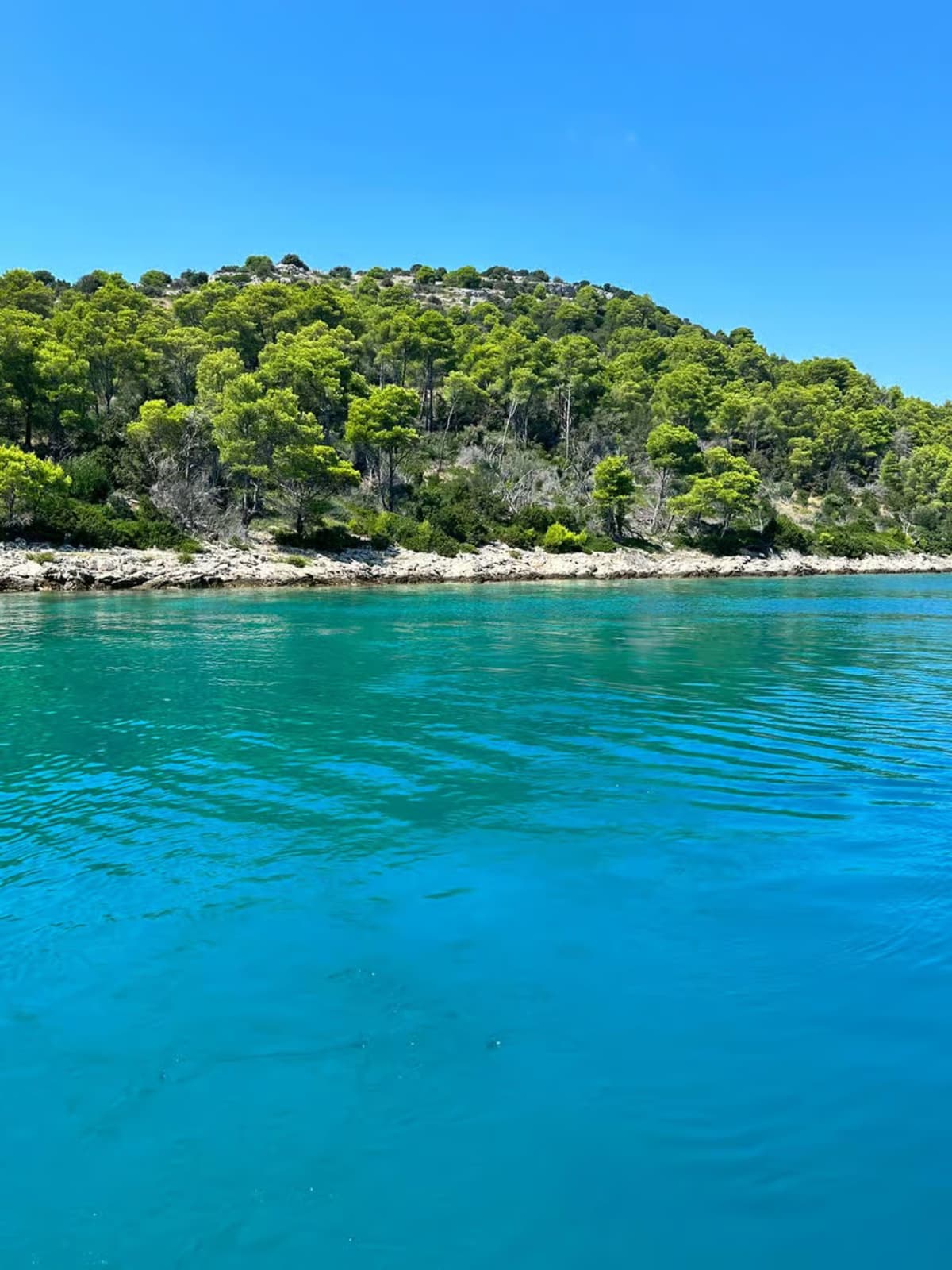 Halbtägige Bootsfahrt Zadar – Ošljak – Preko