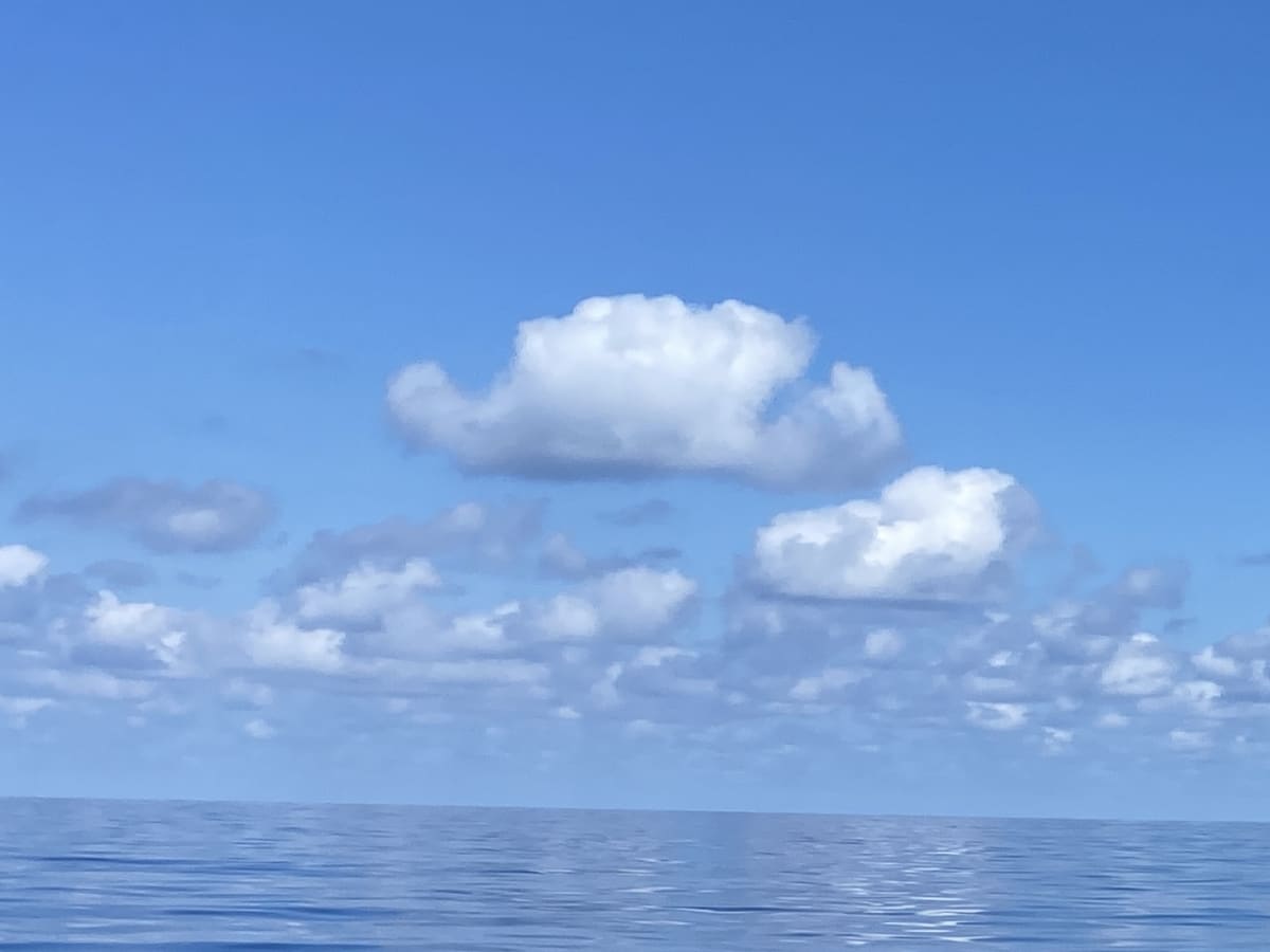 Gallery: image #26