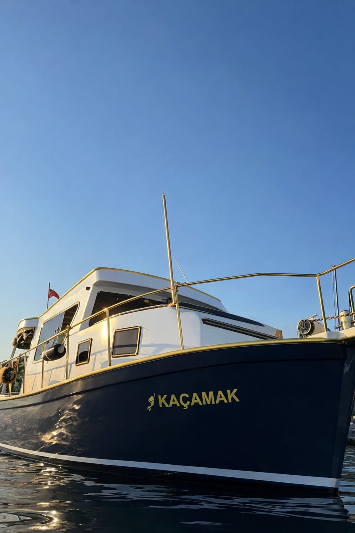 Gallery: image #21