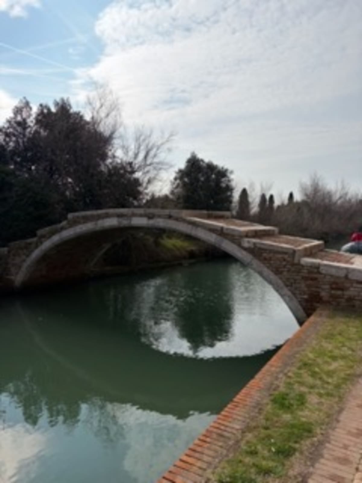 Gallery: image #7