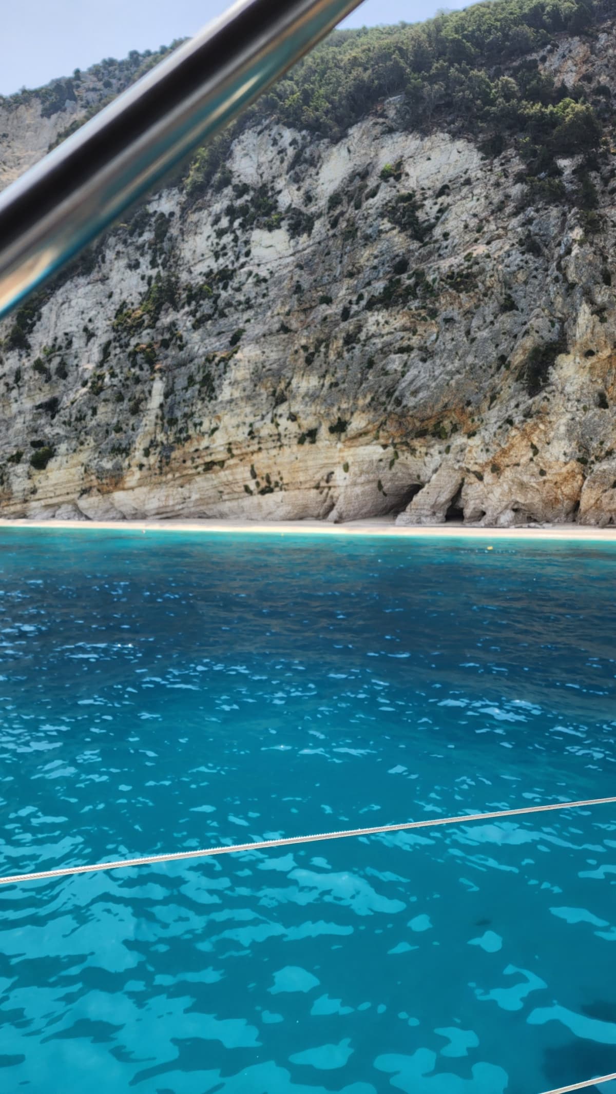 Gallery: image #7