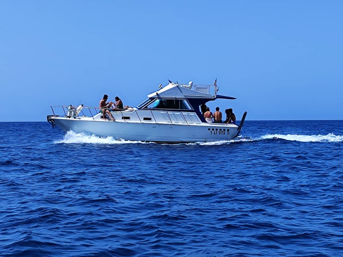 Merveilles de la côte volcanique : excursion d'une journée en bateau à la découverte de grottes, d'arches et d'eaux cristallines