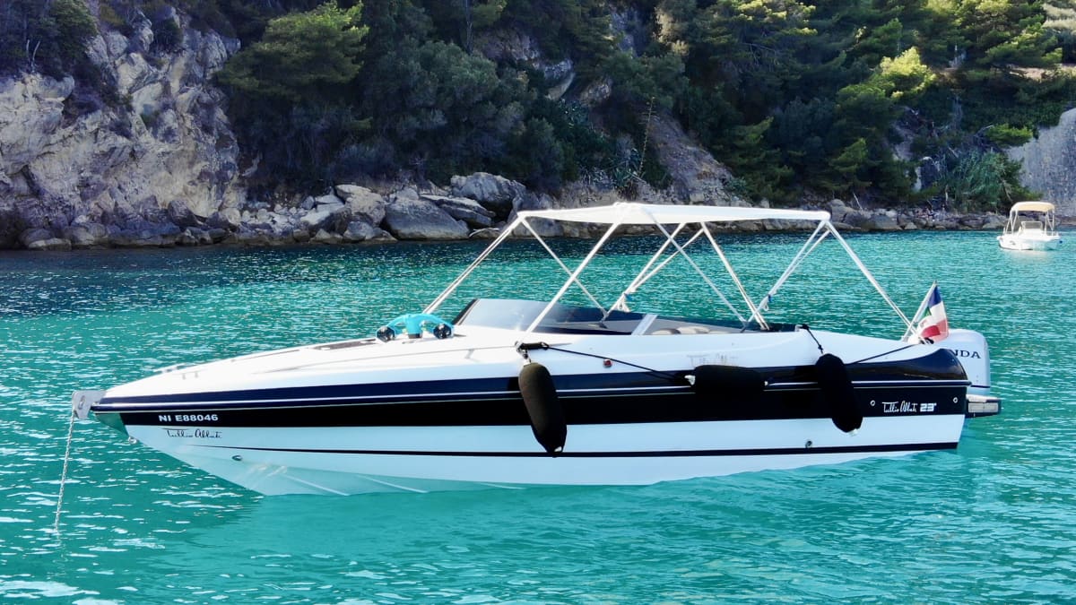 Gallery: image #7