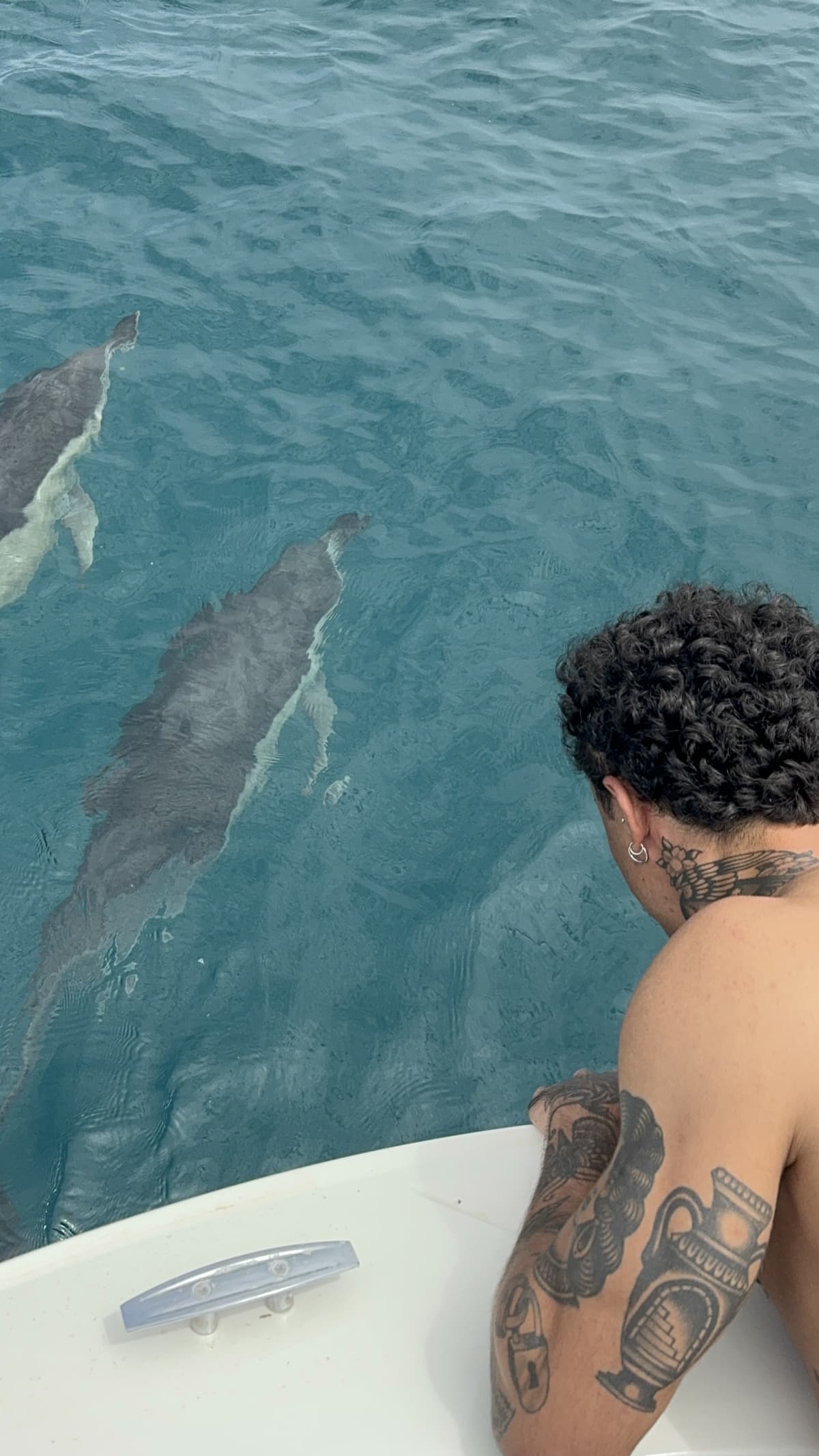 🐬Delfinbeobachtungstour🐬