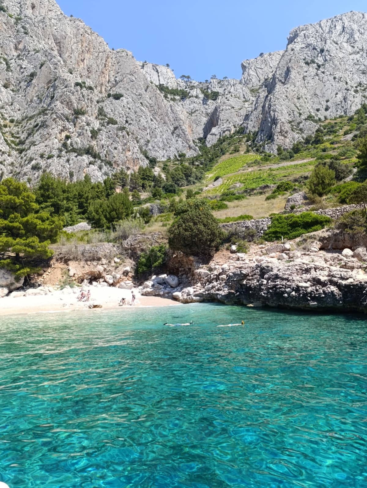 Gallery: image #14