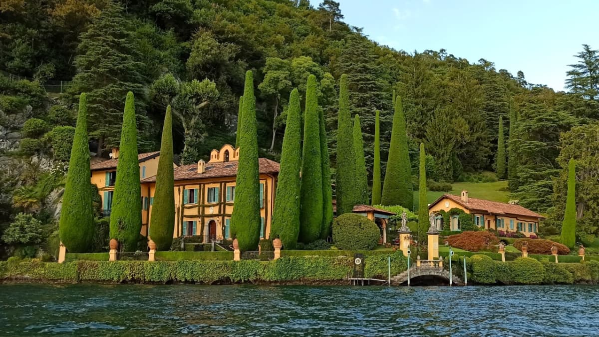 Gallery: image #6
