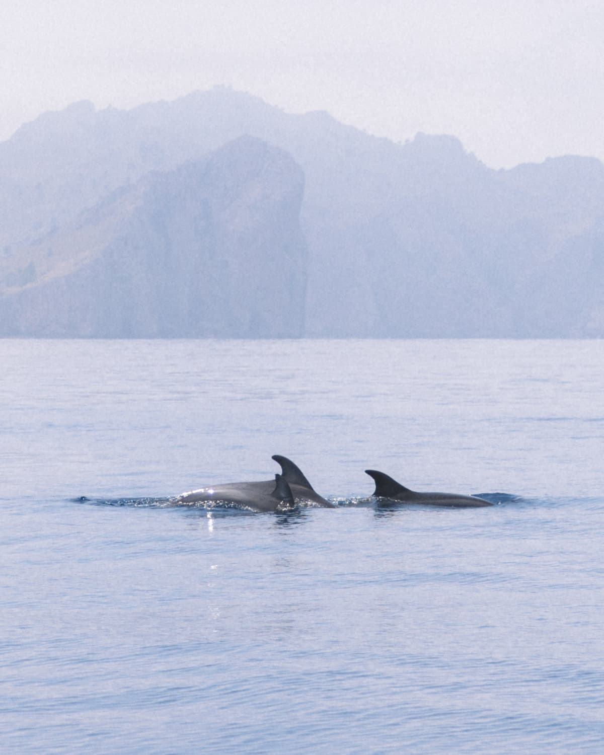 Intimate Marine expedition