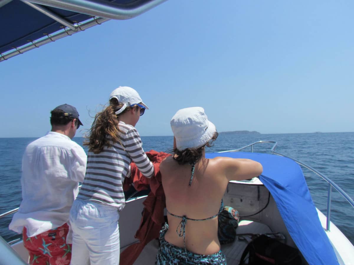 Gallery: image #8