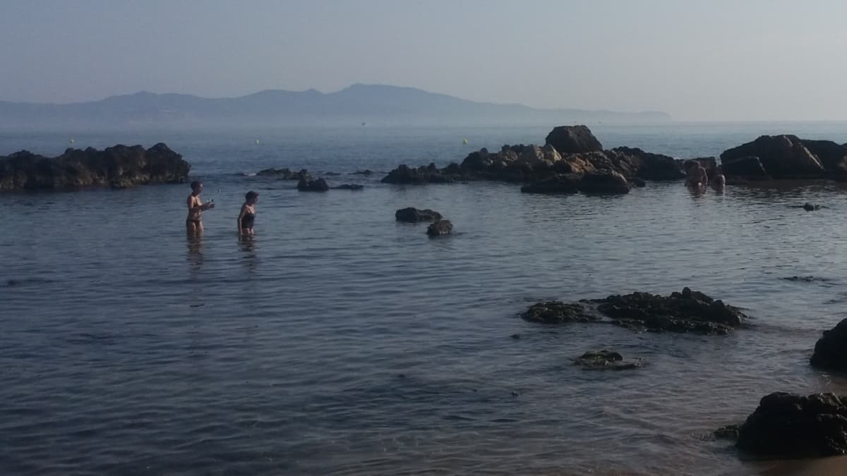 Gallery: image #17