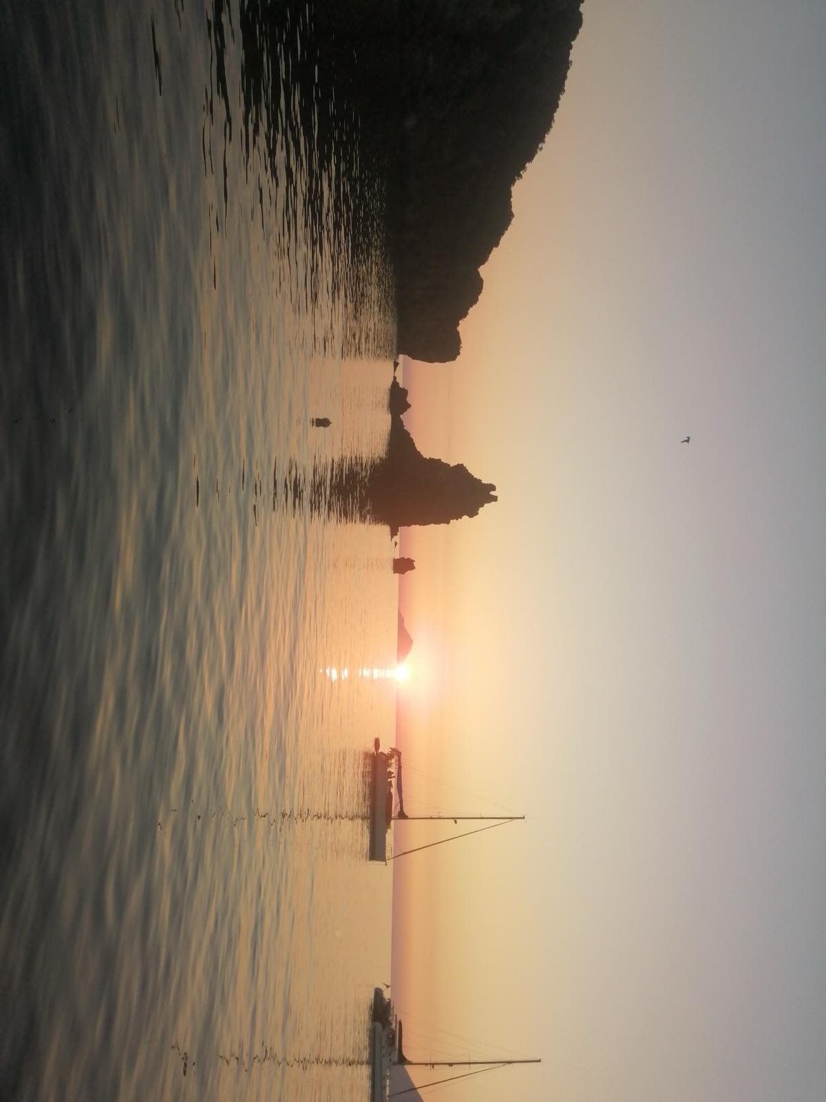 Gallery: image #49