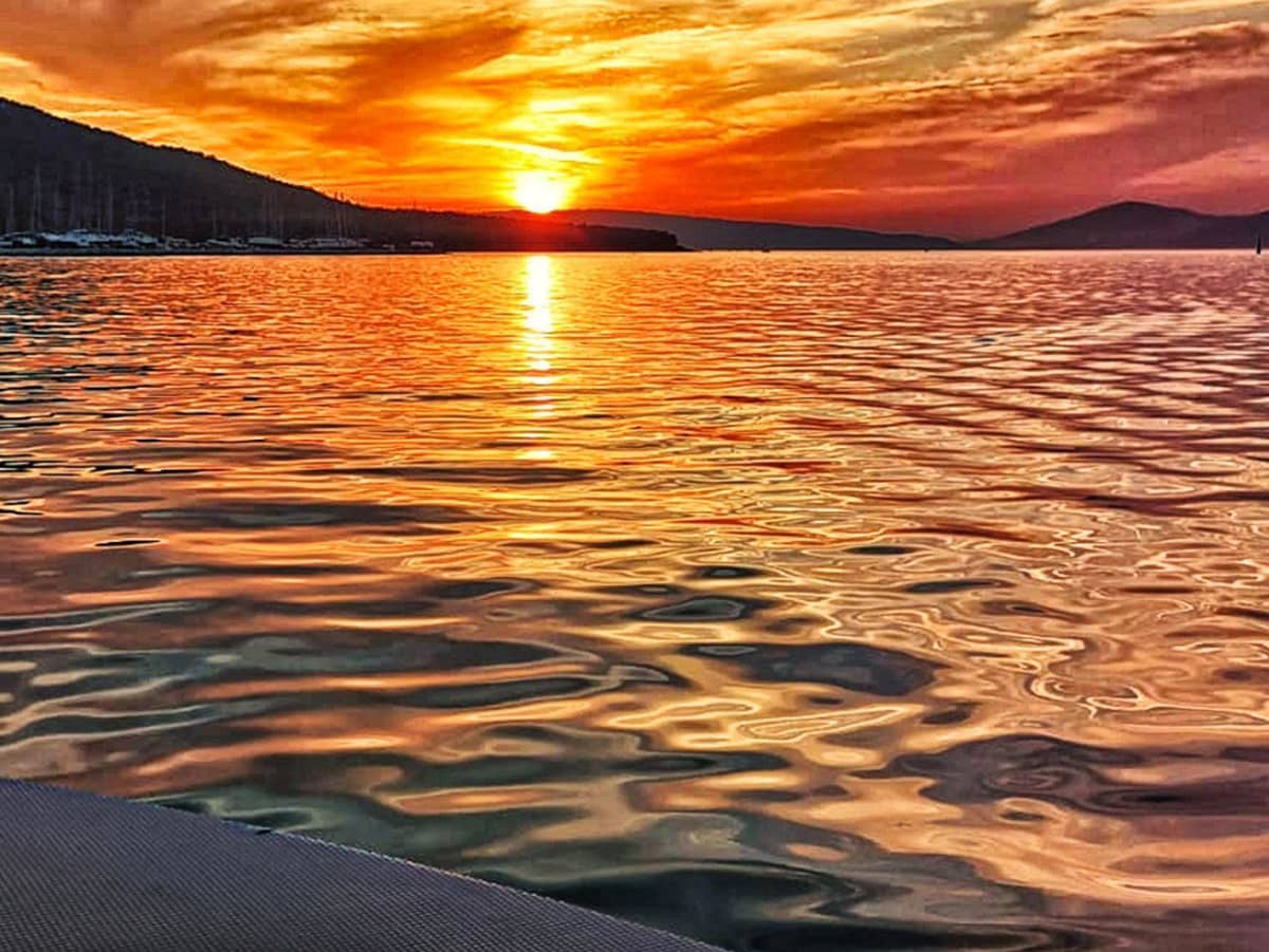 Cover of activity #2385