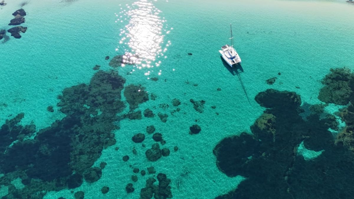 Journée en catamaran (9h30 - 17h30) – Hyères & Îles d’Or