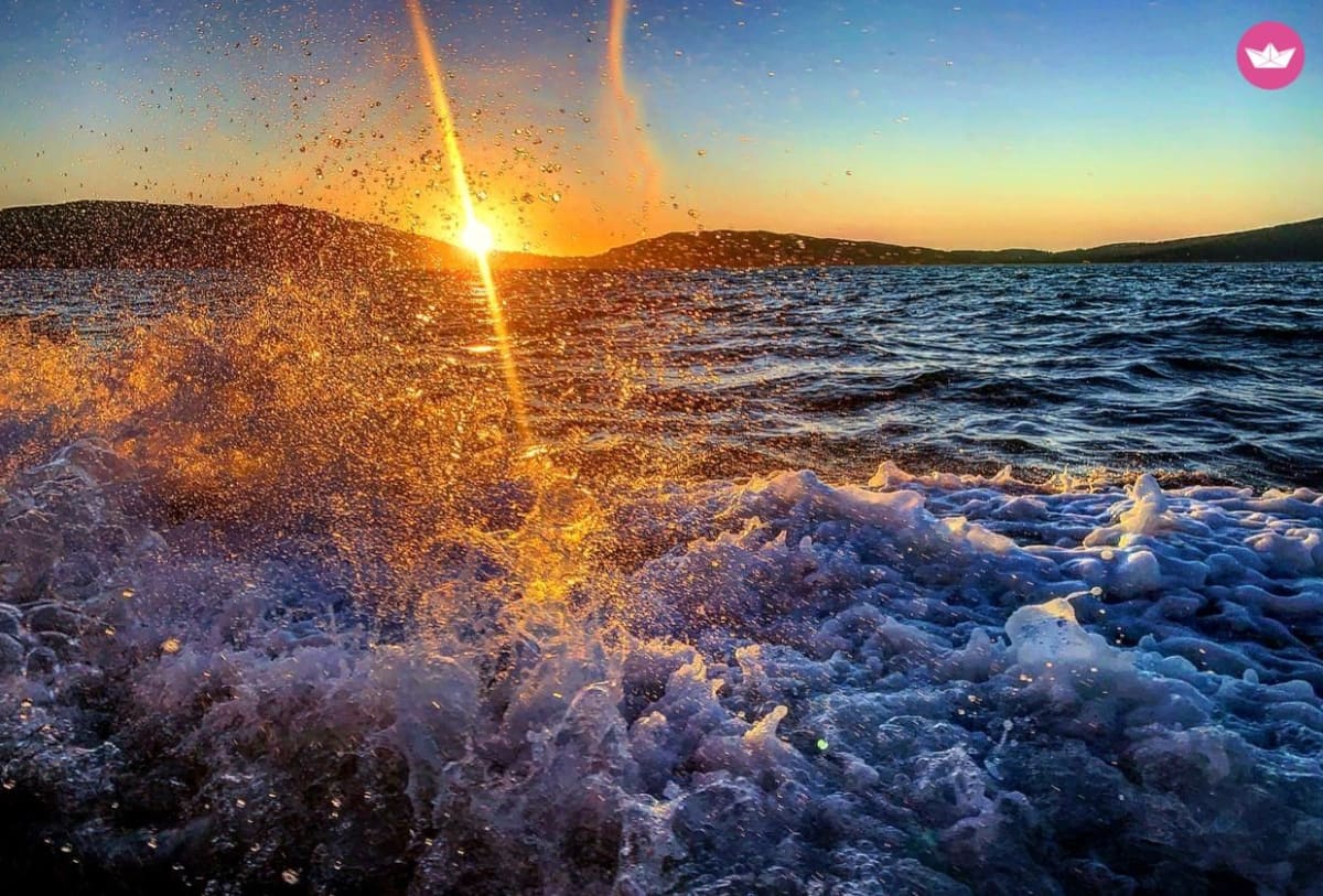 Gallery: image #21