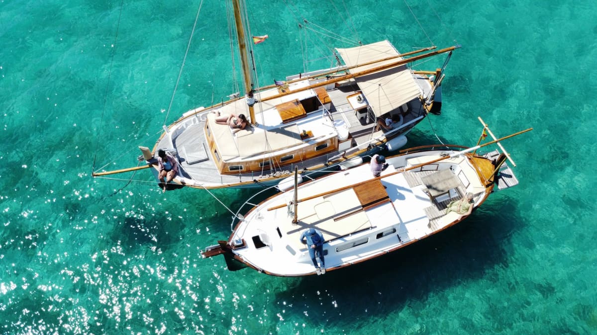 Gallery: image #4