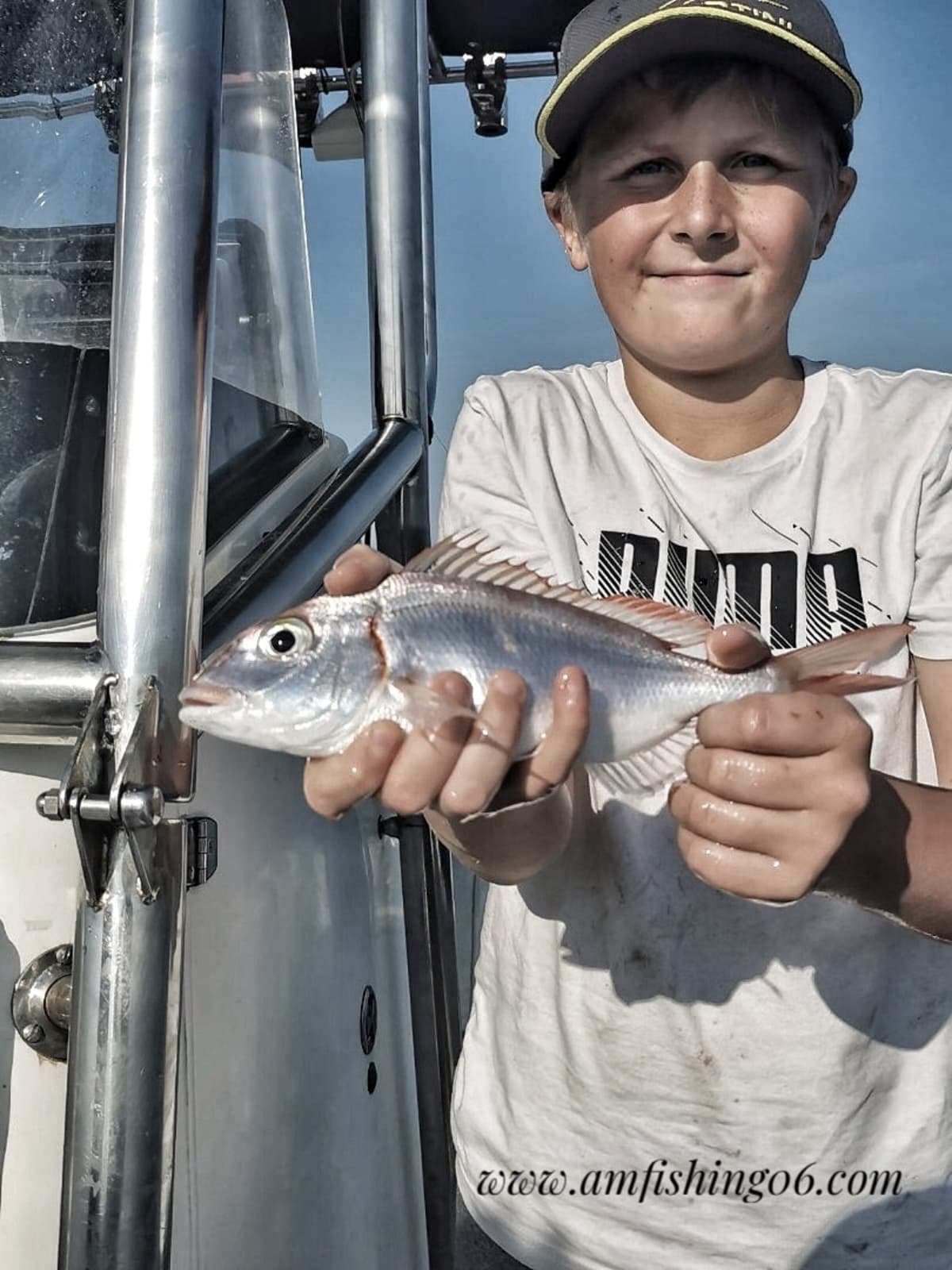 Gallery: image #9