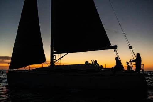Gallery: image #33