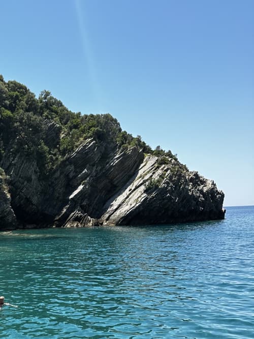 Gallery: image #26