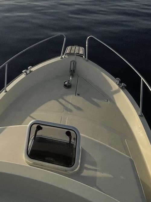 Gallery: image #32