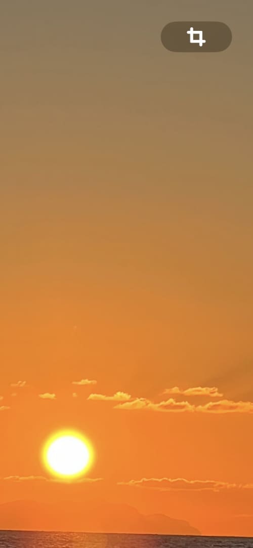 Gallery: image #16