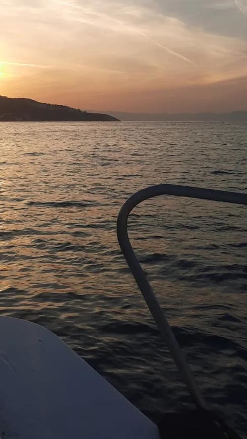 Gallery: image #26