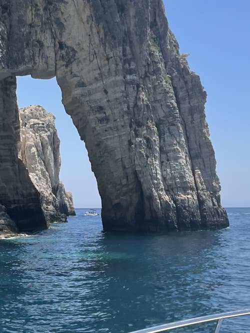 Gallery: image #14