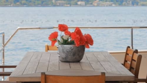 Gallery: image #27