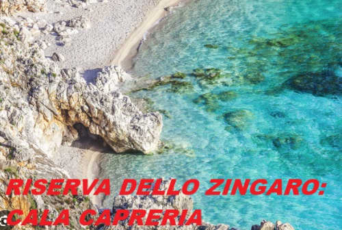 Gallery: image #45