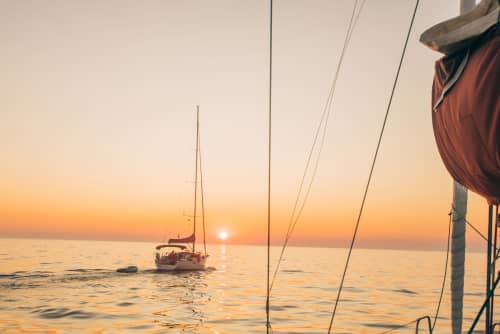 Gallery: image #6