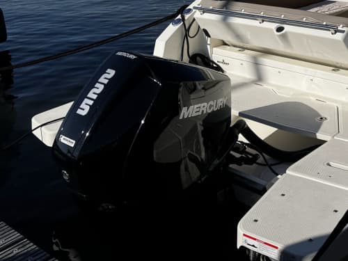 Entdecken Sie Biesbosch: Ein halber Tag voller Freude auf einem Motorboot