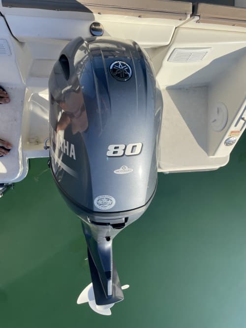 Entdecken Sie Cascais auf einer halbtägigen Motorbootfahrt