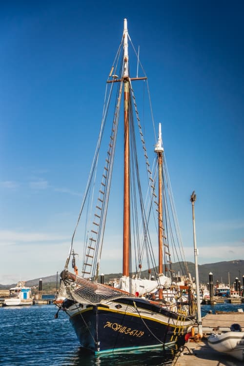 Full-day sailing trip to Vigo