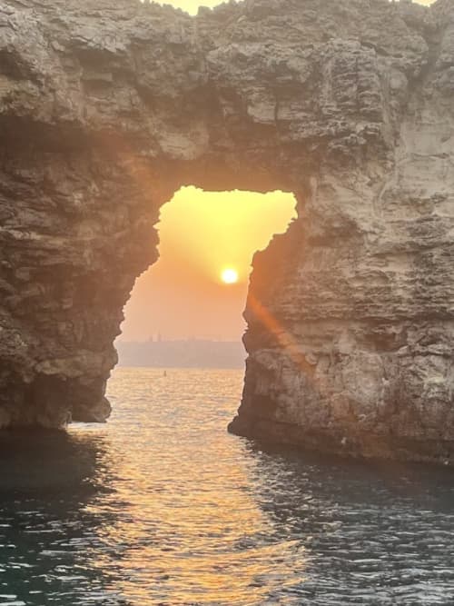 Gallery: image #28