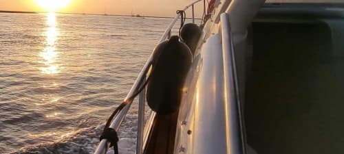 Gallery: image #8