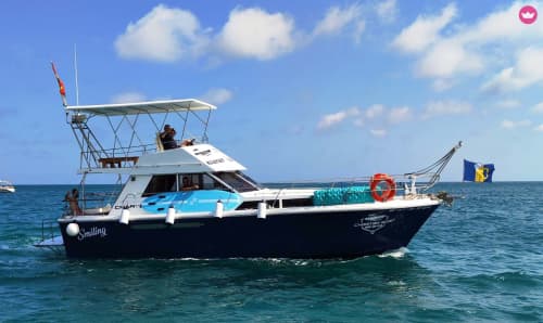 Lächeln (4h). Spaziergang durch die Bucht von Alicante – Entspannung und Natur
