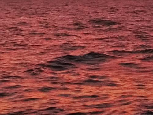 Gallery: image #21