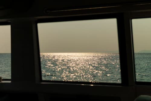 Gallery: image #11
