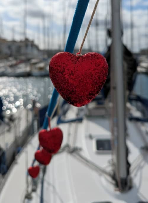 Gallery: image #19