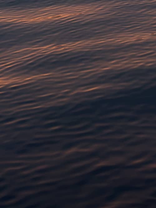 Gallery: image #18