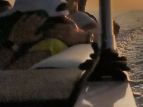 Sunset in Taormina with Dolphins