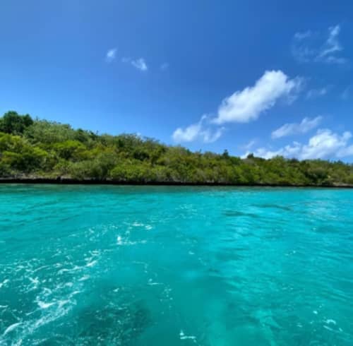 Découvrez 5 îles à bord d'un bateau traditionnel : un voyage à travers la beauté sauvage et le patrimoine