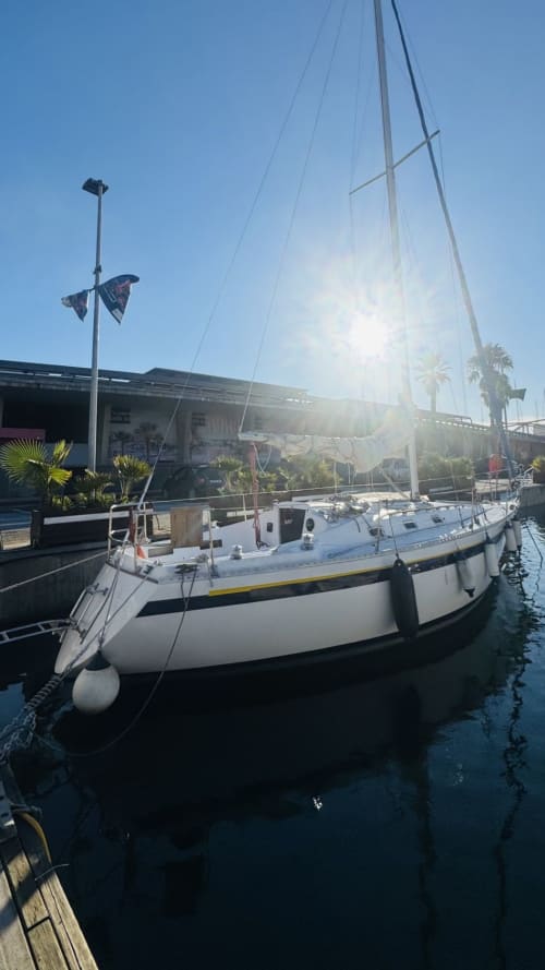 Morning Light – A Refreshing 3-Hour Boat Escape
