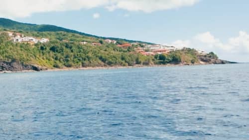 Una giornata eccezionale alla scoperta di Basse-Terre
