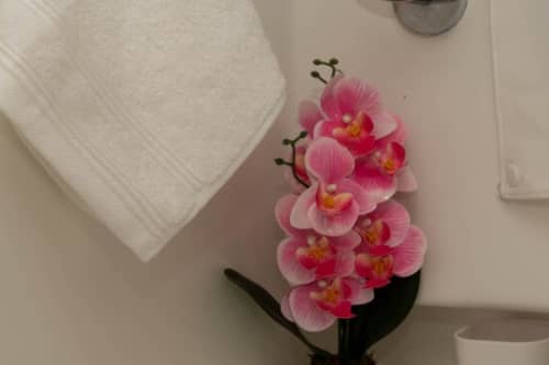 Gallery: image #4
