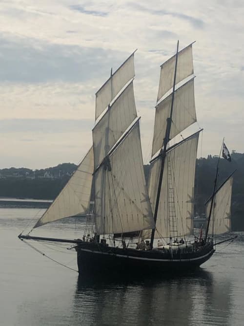 Cruise aboard a vintage sailing ship