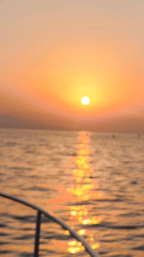 Gallery: image #27