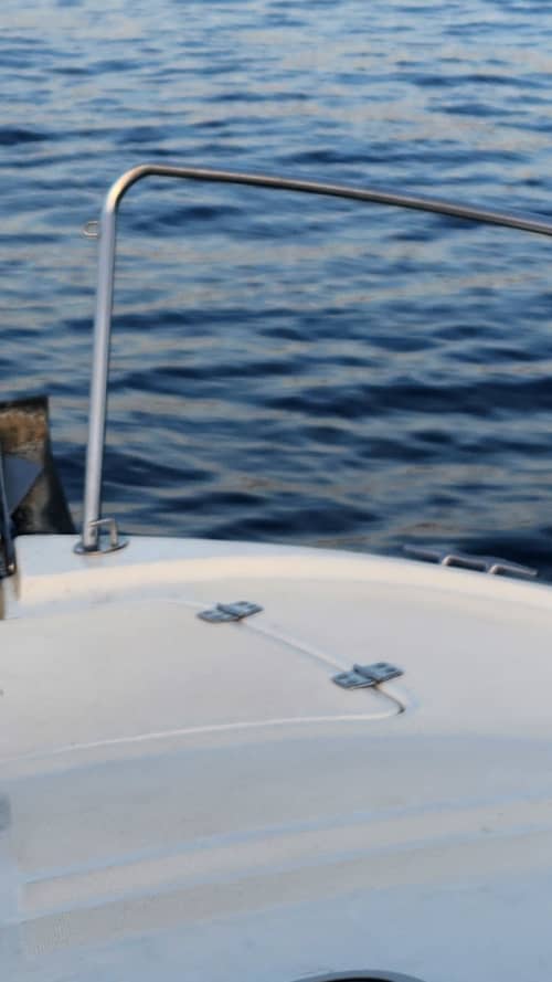 Gallery: image #28